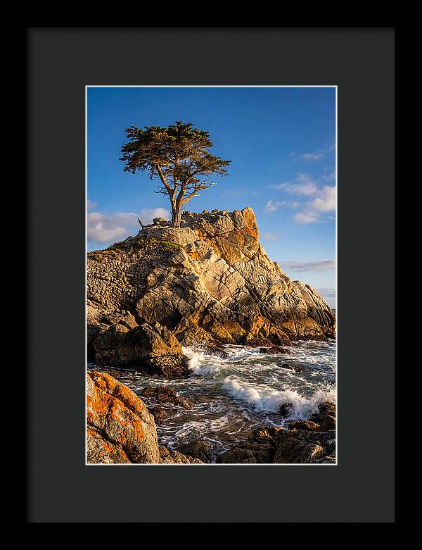Lone Cypress At Pebble Beach