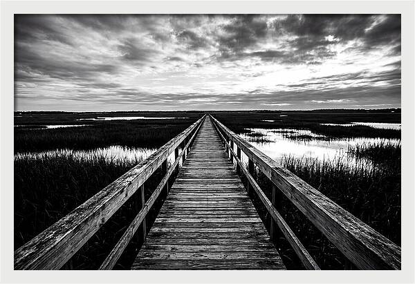 Long Wooden Boardwalk Over Marsh