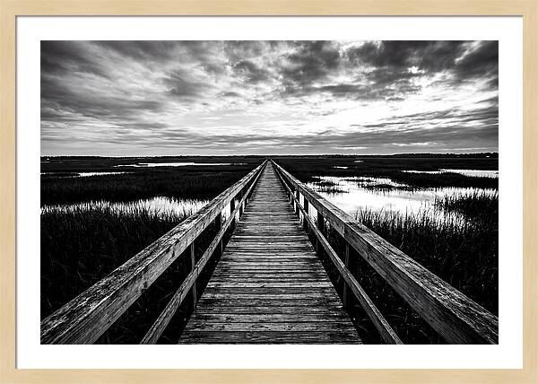 Long Wooden Boardwalk Over Marsh