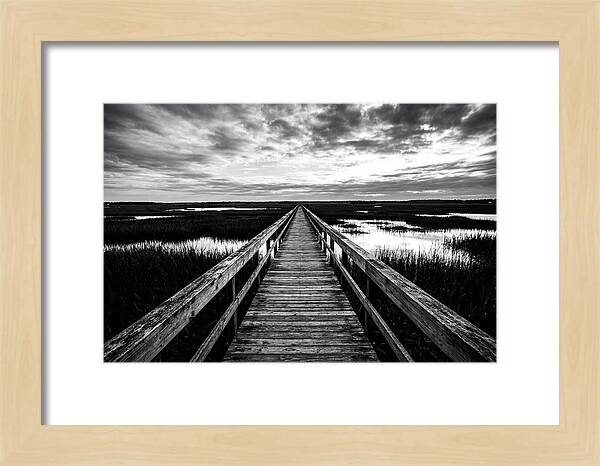 Long Wooden Boardwalk Over Marsh