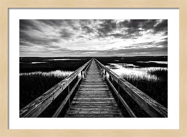 Long Wooden Boardwalk Over Marsh