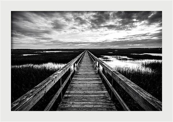 Long Wooden Boardwalk Over Marsh