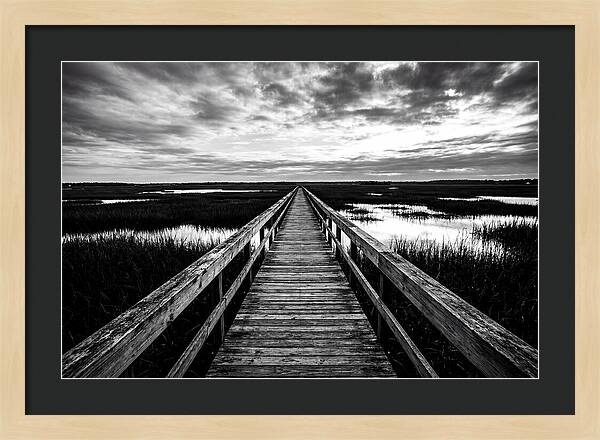 Long Wooden Boardwalk Over Marsh