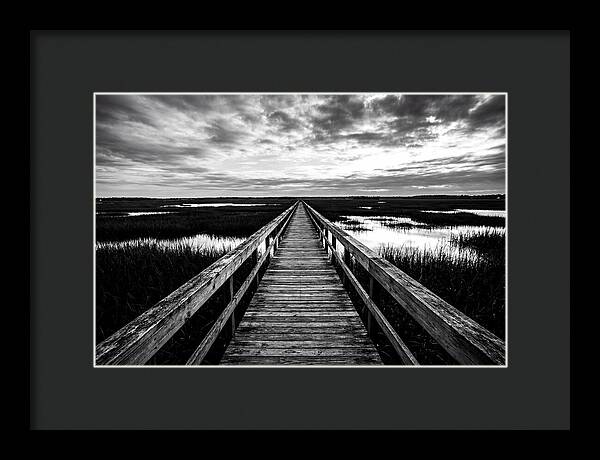 Long Wooden Boardwalk Over Marsh