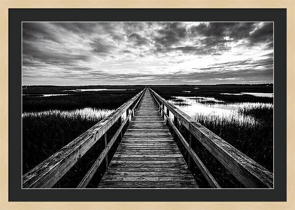 Long Wooden Boardwalk Over Marsh