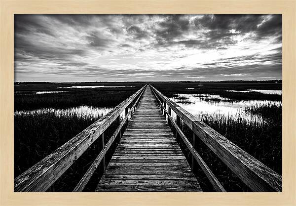 Long Wooden Boardwalk Over Marsh