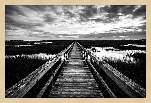 Long Wooden Boardwalk Over Marsh