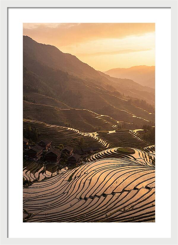 Longji Rice Terraces At Golden Hour