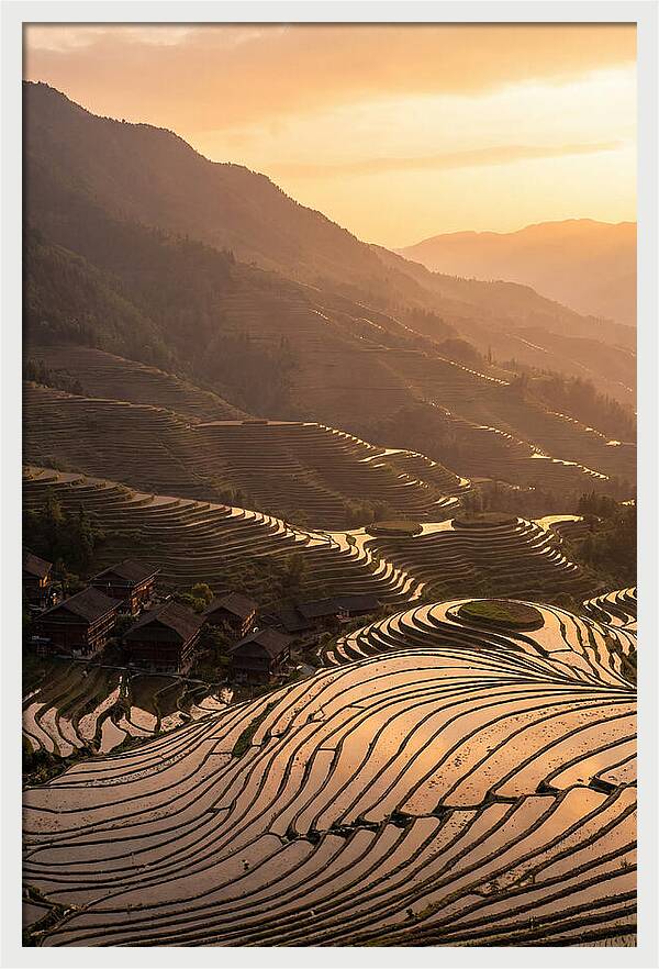 Longji Rice Terraces At Golden Hour