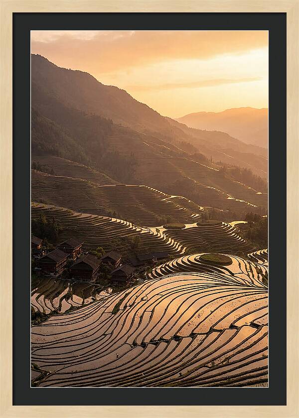 Longji Rice Terraces At Golden Hour