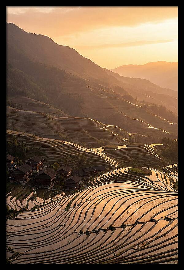 Longji Rice Terraces At Golden Hour