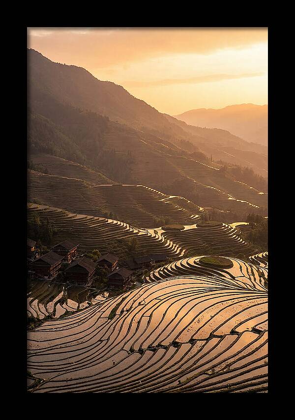 Longji Rice Terraces At Golden Hour