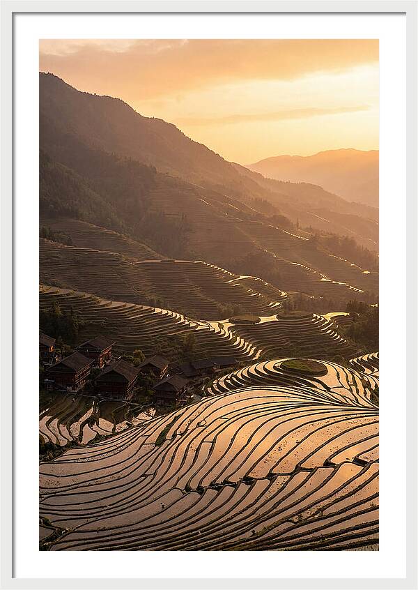 Longji Rice Terraces At Golden Hour