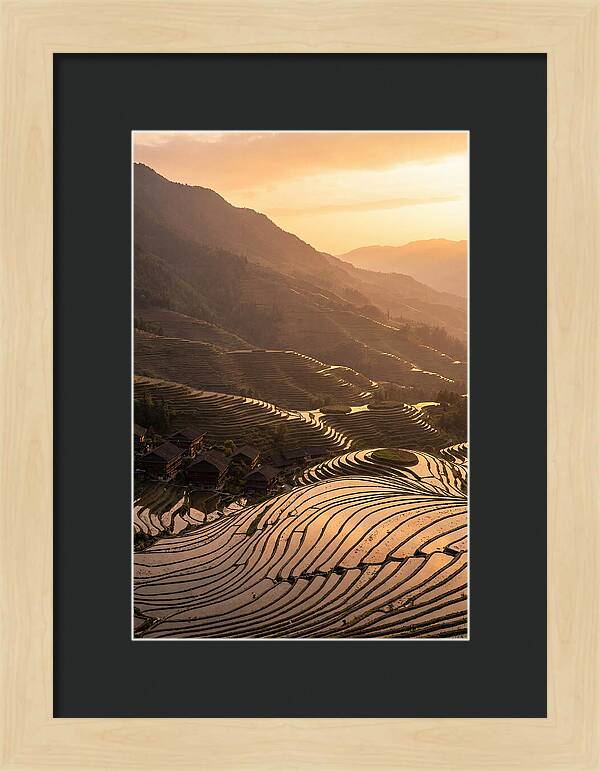 Longji Rice Terraces At Golden Hour
