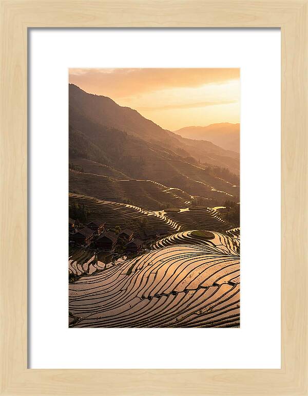 Longji Rice Terraces At Golden Hour