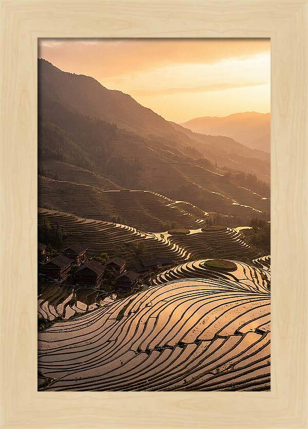Longji Rice Terraces At Golden Hour