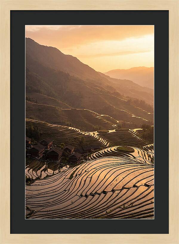 Longji Rice Terraces At Golden Hour