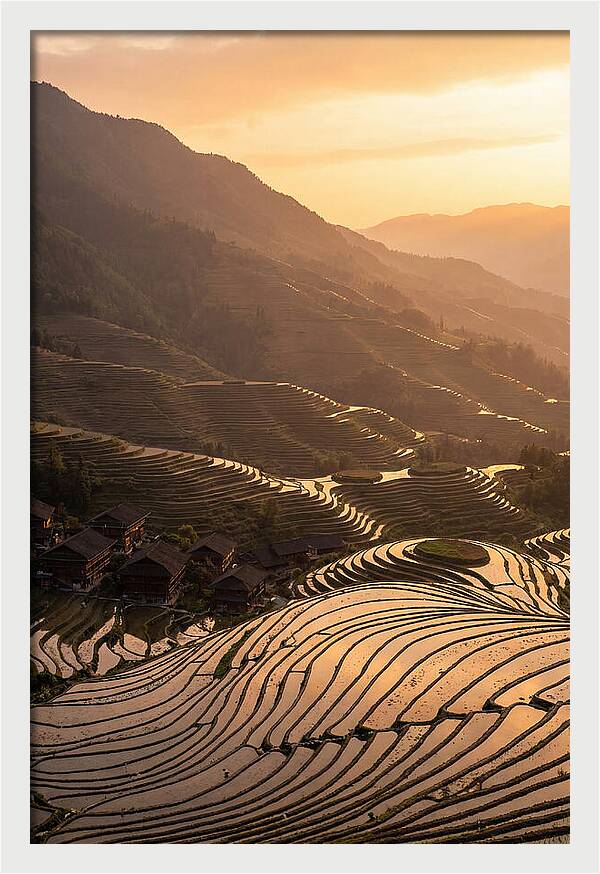 Longji Rice Terraces At Golden Hour