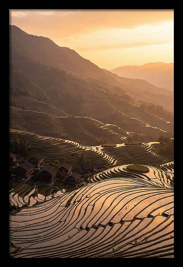Longji Rice Terraces At Golden Hour