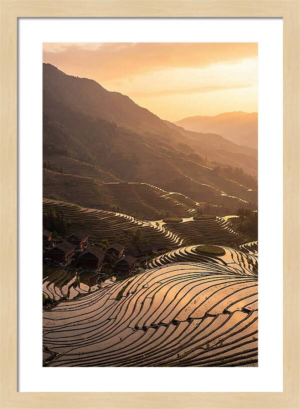 Longji Rice Terraces At Golden Hour