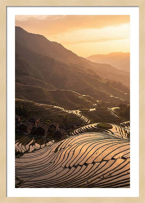 Longji Rice Terraces At Golden Hour