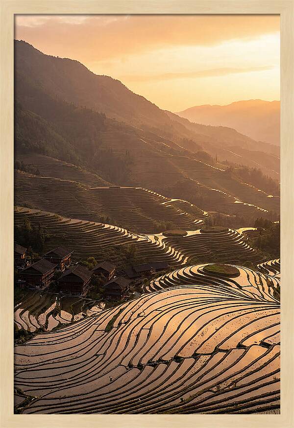 Longji Rice Terraces At Golden Hour