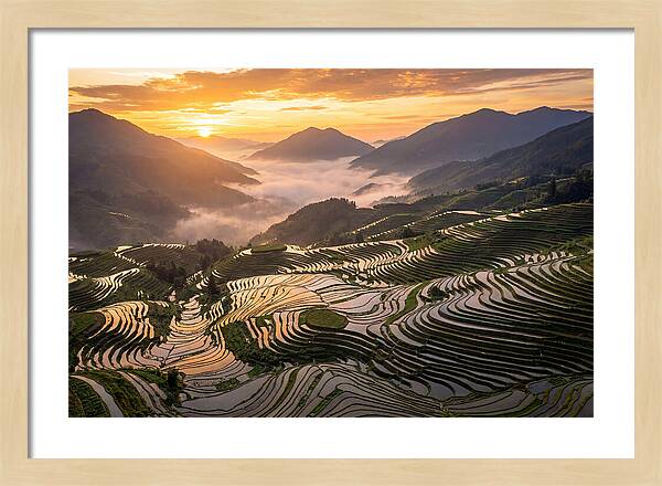 Longji Terraces At Golden Hour
