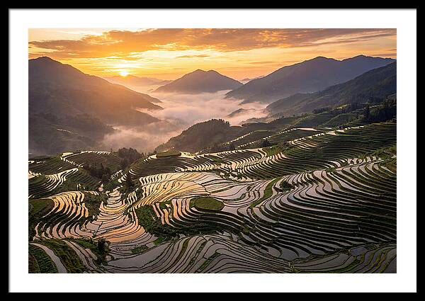 Longji Terraces At Golden Hour