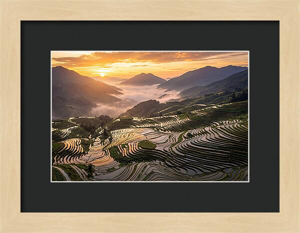 Longji Terraces At Golden Hour