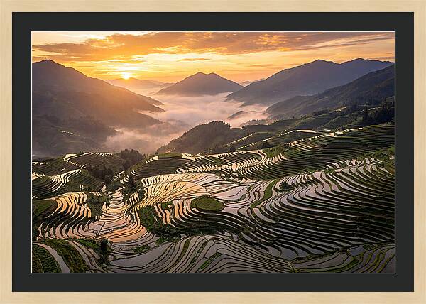 Longji Terraces At Golden Hour