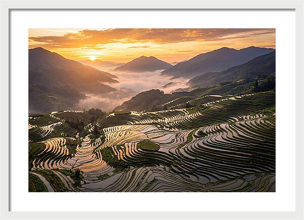 Longji Terraces At Golden Hour
