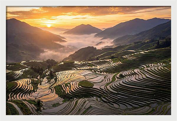 Longji Terraces At Golden Hour