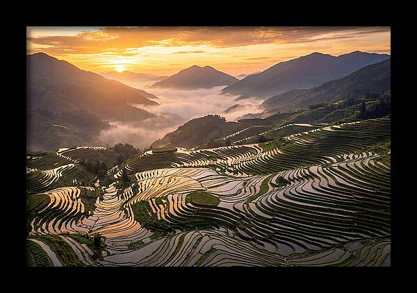 Longji Terraces At Golden Hour
