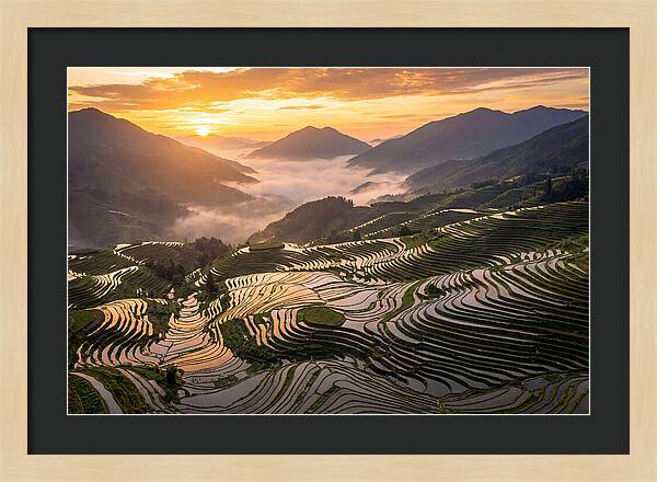 Longji Terraces At Golden Hour
