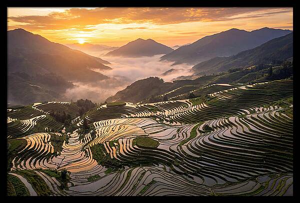 Longji Terraces At Golden Hour