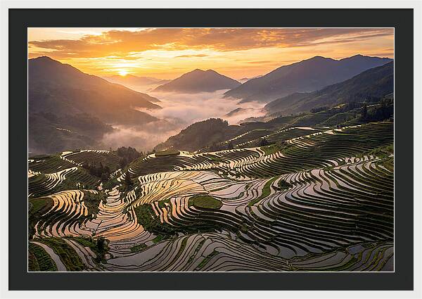 Longji Terraces At Golden Hour
