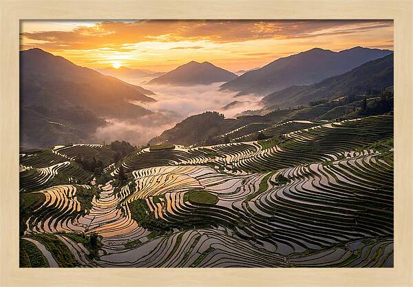 Longji Terraces At Golden Hour