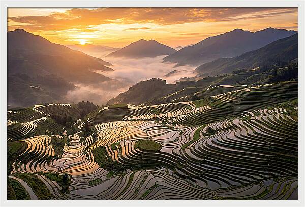 Longji Terraces At Golden Hour
