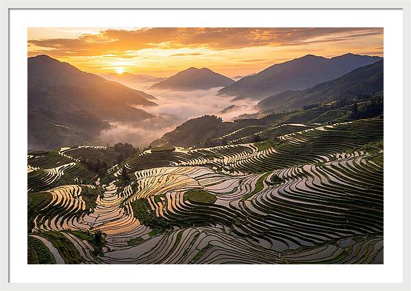Longji Terraces At Golden Hour