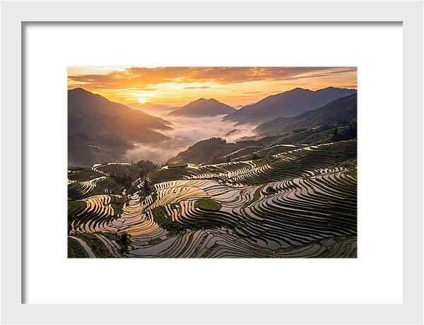 Longji Terraces At Golden Hour