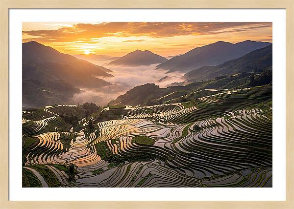 Longji Terraces At Golden Hour