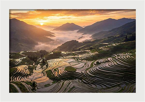 Longji Terraces At Golden Hour
