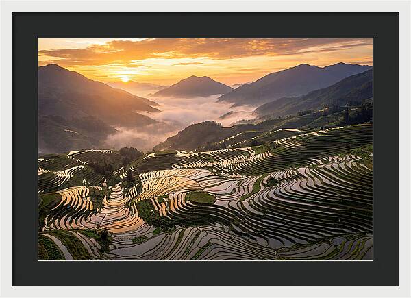 Longji Terraces At Golden Hour