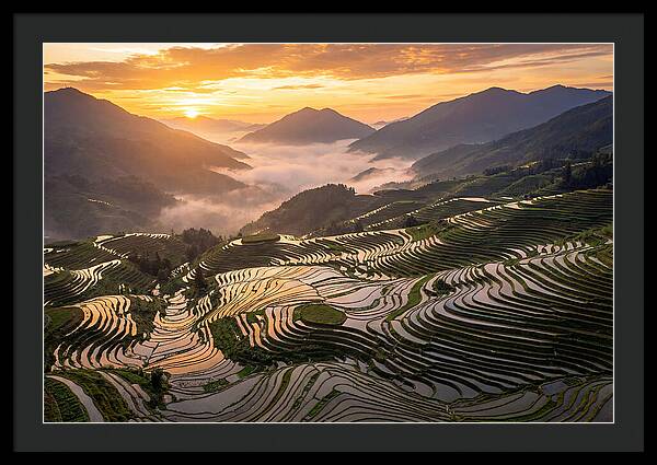 Longji Terraces At Golden Hour