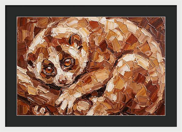 Loris In Earthy Tones