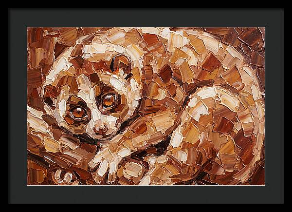 Loris In Earthy Tones