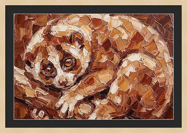 Loris In Earthy Tones