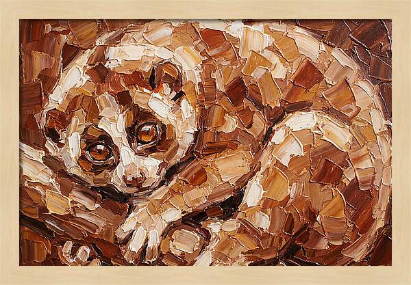 Loris In Earthy Tones
