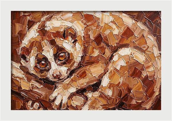 Loris In Earthy Tones