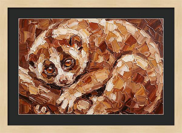 Loris In Earthy Tones